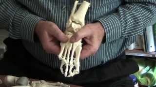 Cuboid Syndrome Holistic Treatment Hesch Method [upl. by Corvese130]