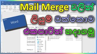 Create multiple letters using mail merge  Word Document වල mail merge ගැන දැනගනිමු  Sinhala [upl. by Leumas]