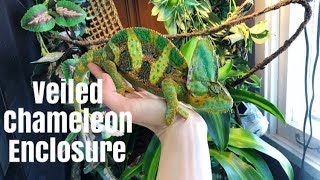 How to Set Up A Veiled Chameleon Enclosure [upl. by Cantu]