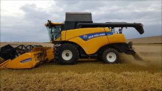 Weizen Dreschen 2016 mit New Holland CR 8080 [upl. by Synn533]