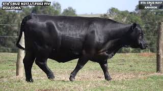 LOTE 25 PACOTE T850 x BUSINESS LINE N217 x AMAROK [upl. by Zielsdorf]