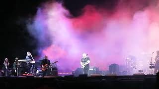 David Gilmour  Black Cat  Luck And Strange Live at Circo Massimo  Roma 1°102024 [upl. by Assek]