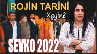 Rojin Tarini  Xayine  Şevko 2022 [upl. by Okiron]