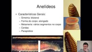 Aula I de Zoologia dos Invertebrados II Filo Annelida [upl. by Conlon]