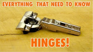 Cabinet Door Hinges  Everything you need to Know [upl. by Chew]