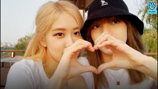 ENG SUB ROSÉ AND LISA VLIVE [upl. by Yesnek600]