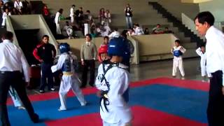 taekwondo combate niños 10 años [upl. by Aicercal925]