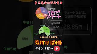 東京電力の深夜電力プランが4倍になった今！次なる一手は？！ [upl. by Annat]