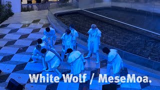 White Wolf  MeseMoa フリーライブ定点 [upl. by Trinette]