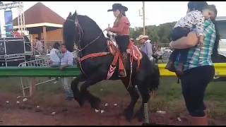 Rancho Los MAGUEYES BAILANDO SU CABALLOquot [upl. by Oicnedurp]