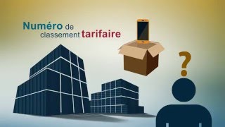 Classement des marchandises importées [upl. by Atinauj]