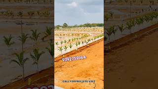 open plots in shadnagar Hyderabad  HIGH APPRACTION PLOTS  Ready to Construction plots shadnagar [upl. by Safoelc]