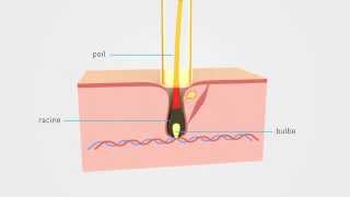 Epilium Epilation Laser  Principe et explication [upl. by Rosalynd]