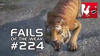 Fails of the Weak Ep 224  Rooster Teeth [upl. by Zzaj]