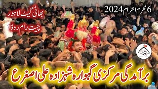 6 Muharram 2024  Baramdagi Markazi Zairart Jhoola Shahzada Ali Asghar as  Bhatti Gate Lahore [upl. by Dorahs]