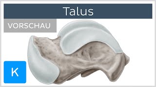 Talus Anatomie und Funktion Vorschau  Kenhub [upl. by Nielsen]