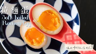 Perfect Softboiled Ramen Egg ｜ 半熟蛋。拉麵蛋。味付玉子 [upl. by Nich671]