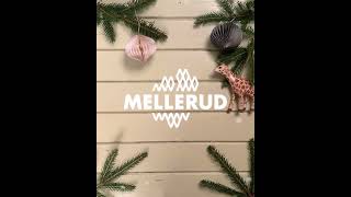 Melleruds julkalender 2023  Lucka 7 [upl. by Aicissej]