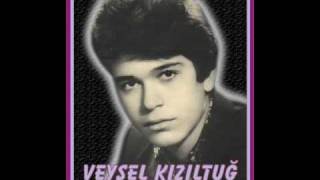 Veysel Kızıltuğ  Gurbet Ele Gidiyorum [upl. by Rammus]