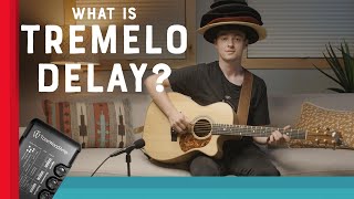 Learn Tremelo Delay  ToneWoodAmp Effects for Strummies [upl. by Ayot632]