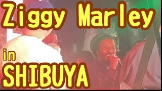 Ziggy marley in SHIBUYA 【ONE LOVE REGGAE JAPAN 】 [upl. by Teressa178]