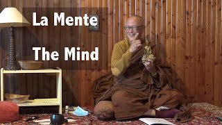 Bhante Sujiva  La Mente The Mind [upl. by Atneciv546]