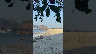 Island Wanderings shorts Thailand Krabi travel nature sunset [upl. by Suoiluj350]