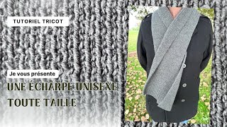 Comment faire une écharpe au tricot côtes 11  Écharpe unisexe  Tutoriel tricot facile [upl. by Shulins821]