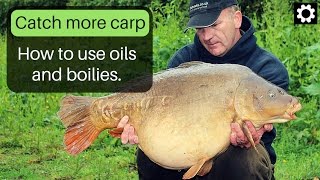 Carp fishing  how to use boilies and oils [upl. by Glynis]