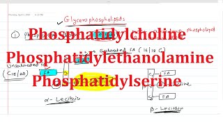 19 Phosphatidylcholine Lecithin Phosphatidylethanolamine Cephalin Phosphatidylserine [upl. by Horwitz]