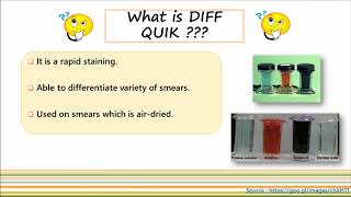 MGG amp DIFF QUICK [upl. by Everett]