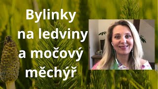 Bylinky na ledviny močový měchýř [upl. by Marvella]