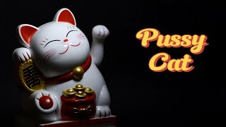 Pussy Cat  Hip Hop Rap Song  Official Audio  2024 [upl. by Kurman]