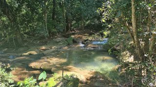 Cascadas de El Tepehuaje Guerrero [upl. by Eiramac]