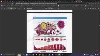 Biology 12 Pituitary Gland [upl. by Purse597]