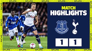 Everton 11 Spurs  PREMIER LEAGUE HIGHLIGHTS [upl. by Sral]