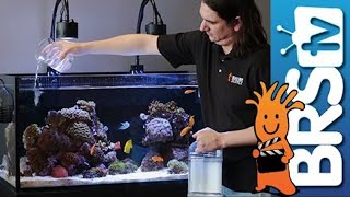 How To Dosing 2 Part in Your Reef Tank [upl. by Artinad]