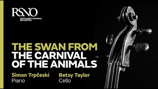 SaintSaëns The Swan from The Carnival of the Animals – Simon Trpčeski amp Betsy Taylor [upl. by Llain]