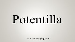 How To Say Potentilla [upl. by Jodi]