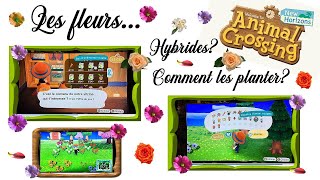 Animal crossing New Horizons fleurs🌷  comment les planter créer des hybrides astuce débutant ACNH [upl. by Ikceb]