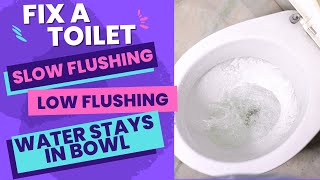 Toilet Wont Flush  Slow Flushing Toilet  Water Stays in Bowl [upl. by Nama]