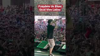 PRÉNDETE UN BLUNT EN EL VIVE LATINO 😎🇲🇽🔥 [upl. by Adanama]