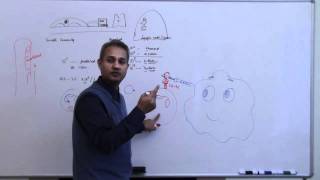 Immunology Neutrophil Lecture 3 Part 9 [upl. by Luella]