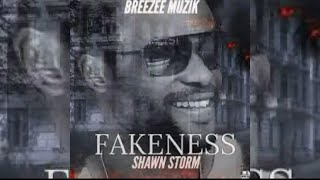 Shawn Storm  Fakeness Official Audio [upl. by Malek287]