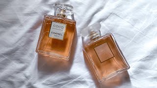 Chanel Coco Mademoiselle VS Chanel Coco Mademoiselle Intense Chanel [upl. by Mohamed712]