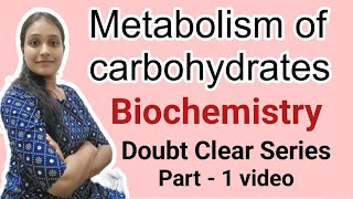 Metabolism of Carbohydrates 💥 [upl. by Tiloine]