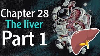 Physiology chapter 28 The Liver part 1  فسلجة وزاري [upl. by Sidney]