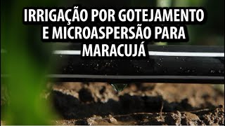 Irrigação por Gotejamento e Microaspersão para Maracujá [upl. by Auston]