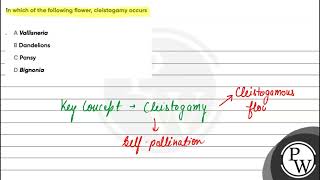 In which of the following flower cleistogamy occurs [upl. by Zirkle]