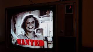 Serial Mom trailer on a Panasonic Color Pilot TV [upl. by Greenes154]